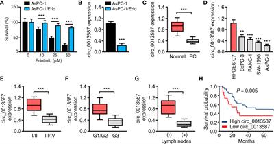 Overexpression of Circular RNA circ_0013587 Reverses Erlotinib Resistance in Pancreatic Cancer Cells Through Regulating the miR-1227/E-Cadherin Pathway